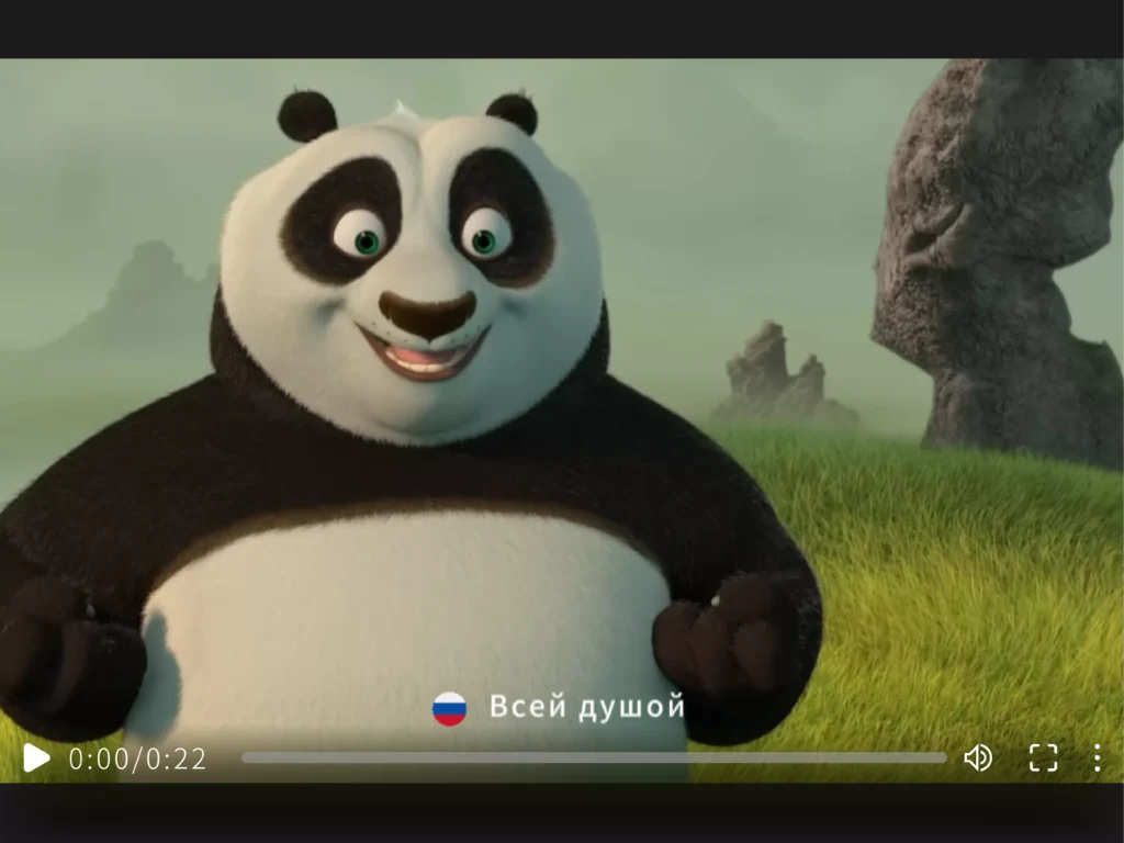 subtitle after translating(russian)