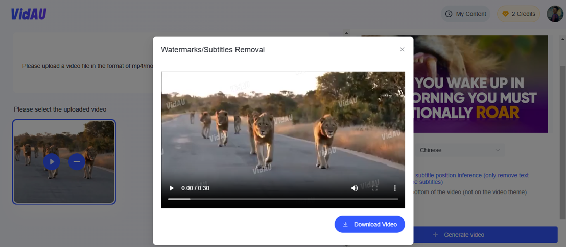  VidAU watermark remover for video