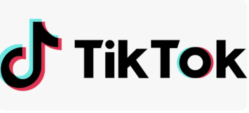 tiktok video downloader