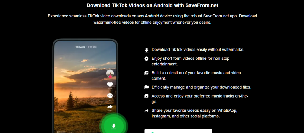 Download TikTok Videos